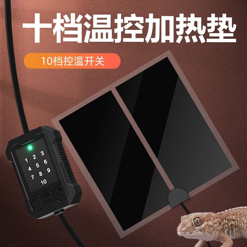 爬宠饲养箱雨林缸饲养箱过冬专用图片