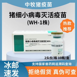中牧猪疫苗猪疫苗猪细小病毒灭活疫苗WH-1株母猪预防死胎猪疫苗