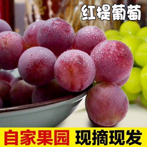 红提葡萄敦煌大漠水果红地球葡萄所有产品净重包邮皮薄果肉厚