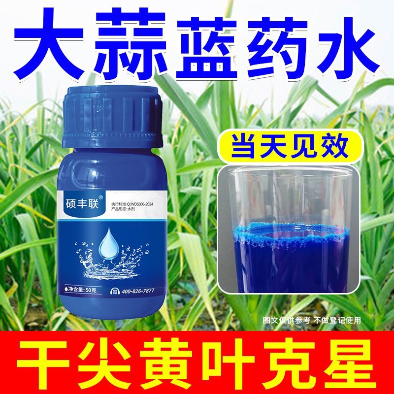 大蒜专用蓝药水干尖黄叶一喷绿浓绿防冻蓝水大葱韭菜蔬菜通用农用