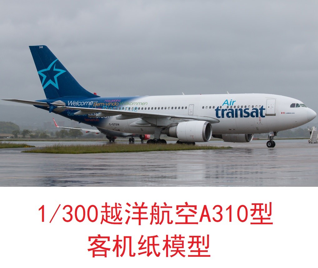 1/300越洋航空空客A310民航客机模型3D纸模型DIY手工客机飞机模型