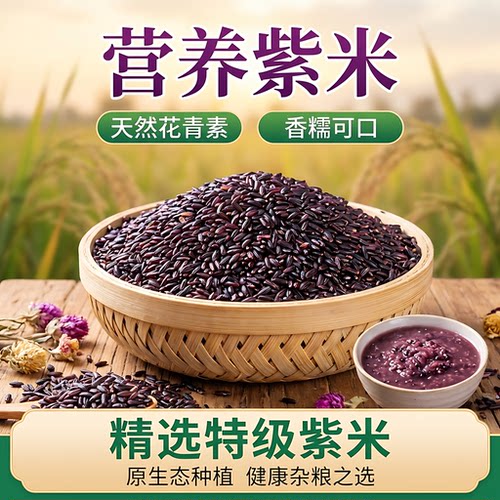 云南墨江紫糯米新米八宝饭专用
