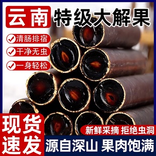 大解果云南高山植物腊肠果旗舰店整根便秘果非野生特级排天然大便