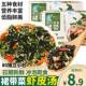 裙带菜即食汤虾皮海带冲泡小包装 免煮食品即食紫菜汤海藻赠味汤料