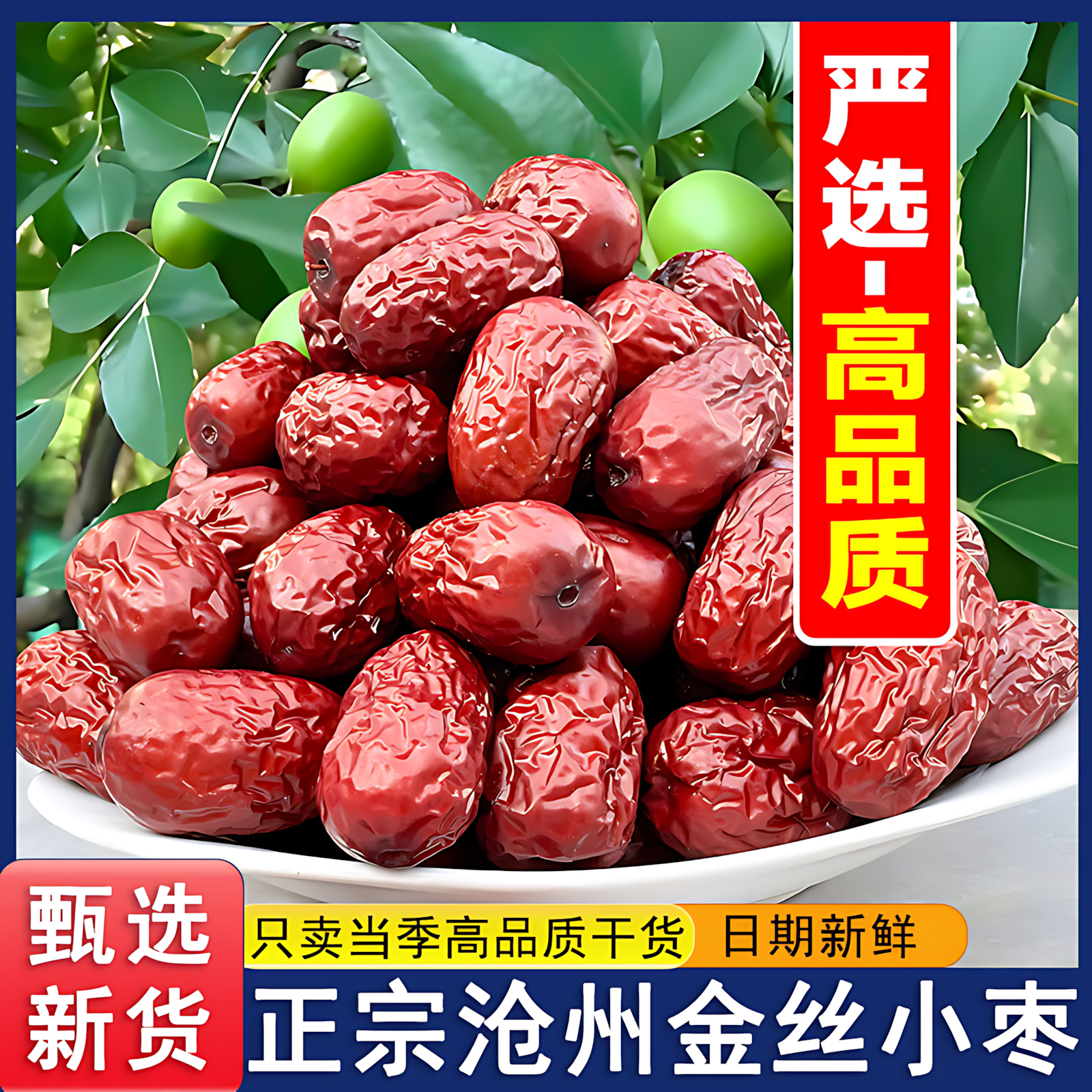 河北沧州金丝小枣新货无核枣小红枣优质煲汤用煮粥正品官方旗舰店