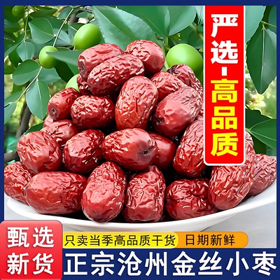 河北沧州金丝小枣无核枣