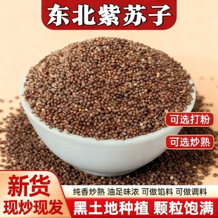 熟紫苏子官方旗舰店正品中药材东北苏籽粒粉食用炒熟烧烤调料500g
