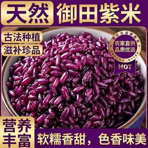 云南墨江紫糯米新米八宝饭专用