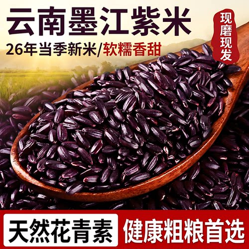 云南墨江紫糯米新米八宝饭专用