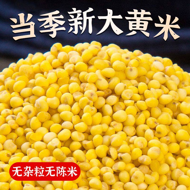 大黄米粘糯大黄米农家自种粘黄米黄糯米包豆包黄米饭颗粒杂粮东北