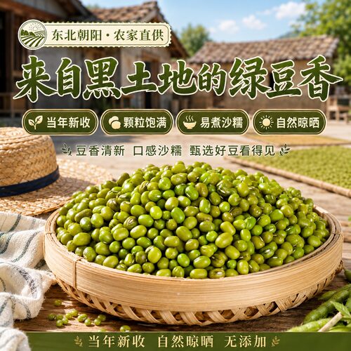 新货绿豆汤粥豆浆原料