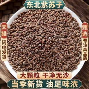 熟紫苏子官方旗舰店正品中药材东北苏籽粒粉食用炒熟烧烤调料500g