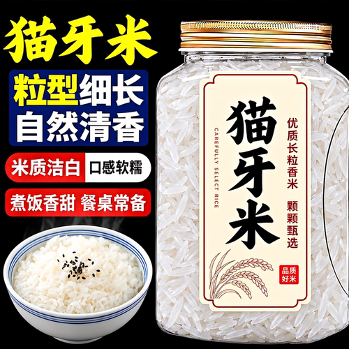 2026新米猫牙米长粒香10斤煲仔饭