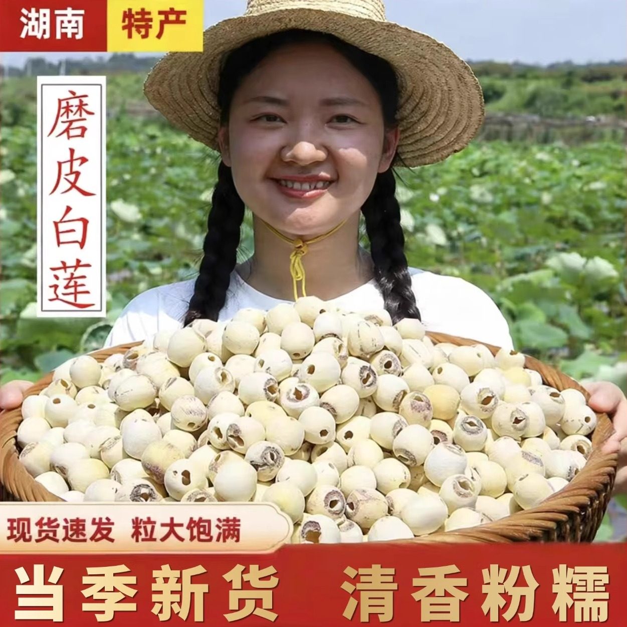 无硫新鲜去芯莲子湘潭特级磨皮无芯白莲子干货500g银耳百合羹新货,粮油调味/速食/干货/烘焙,莲子,淘宝优惠券,粉丝福利购,淘宝优惠卷