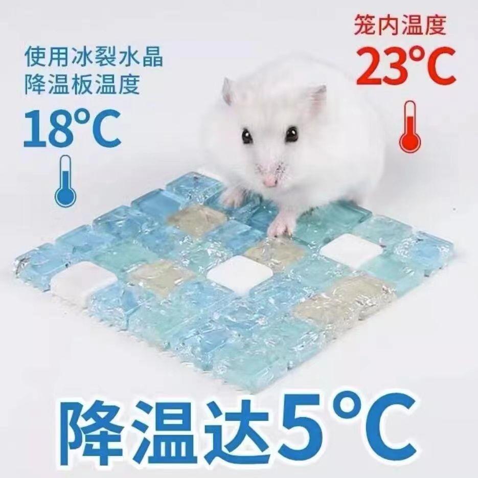 仓鼠冰垫兔子散热板夏天降温用品凉席龙猫解暑金丝熊防中暑冰屋房