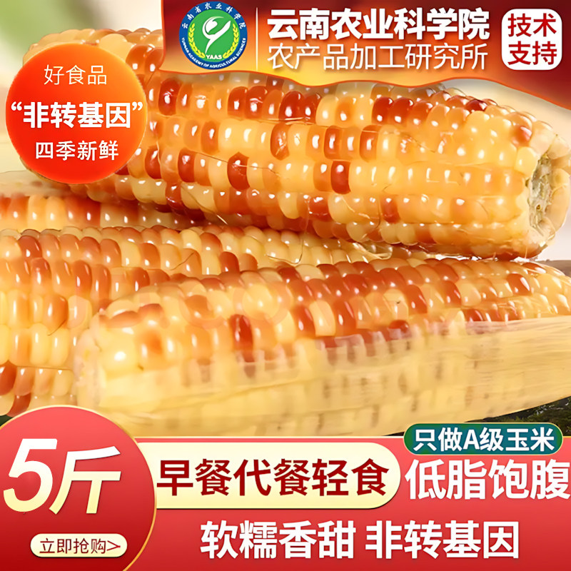 玉米新鲜糯玉米云南西双版纳第一名低脂玉米香糯新鲜营养粗粮整箱,粮油调味/速食/干货/烘焙,玉米糁/玉米渣,淘宝优惠券,粉丝福利购,淘宝优惠卷