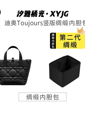 DGAZ汐雅橘光适用于dior迪奥toujours土著竖版小/中号绸缎内胆包