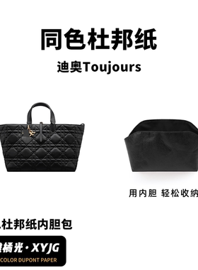 DGAZ汐雅橘光适用于Dior迪奥Toujours土著手袋同色杜邦纸内胆包