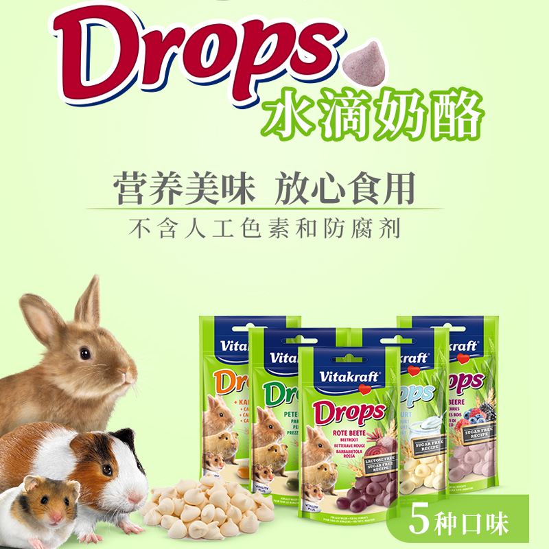 水滴奶酪仓鼠兔子龙猫豚鼠