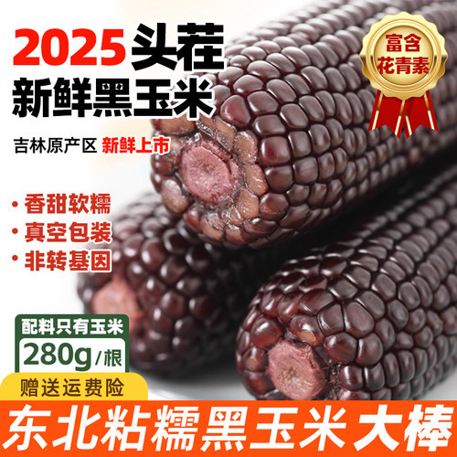 东北黑糯玉米真空装大棒新鲜