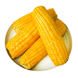 2025新鲜东北黄糯玉米礼盒真空装粘黑糯玉米加热即食代早餐旗舰店