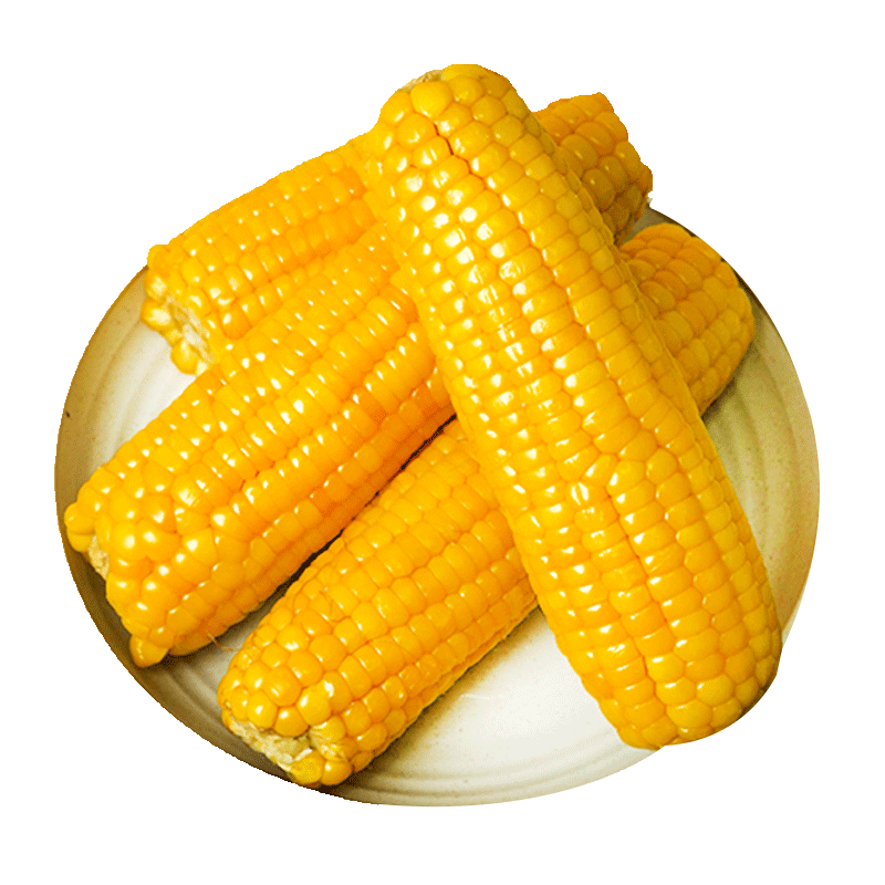 东北糯玉米新鲜头茬真空装