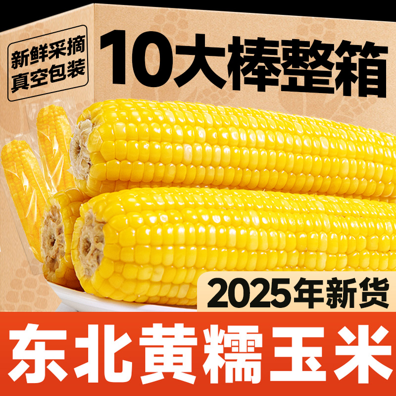 2025新货东北黄糯玉米真空装糯甜