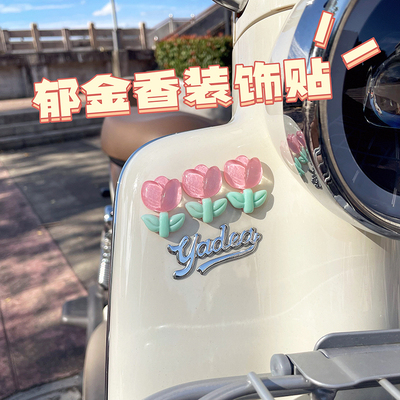 深远gt1电动车装饰小配件郁金香花朵贴画t90/009/a8/t300用品大全