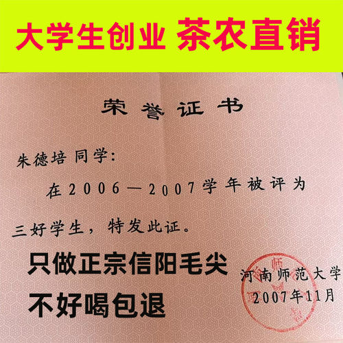2026年信阳毛尖正宗口粮茶朱雨亮