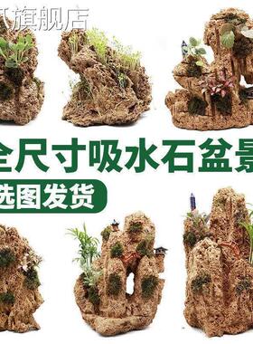吸水石盆景上水石假山石奇石鱼缸造景家居装饰水秀石头奇石小摆件