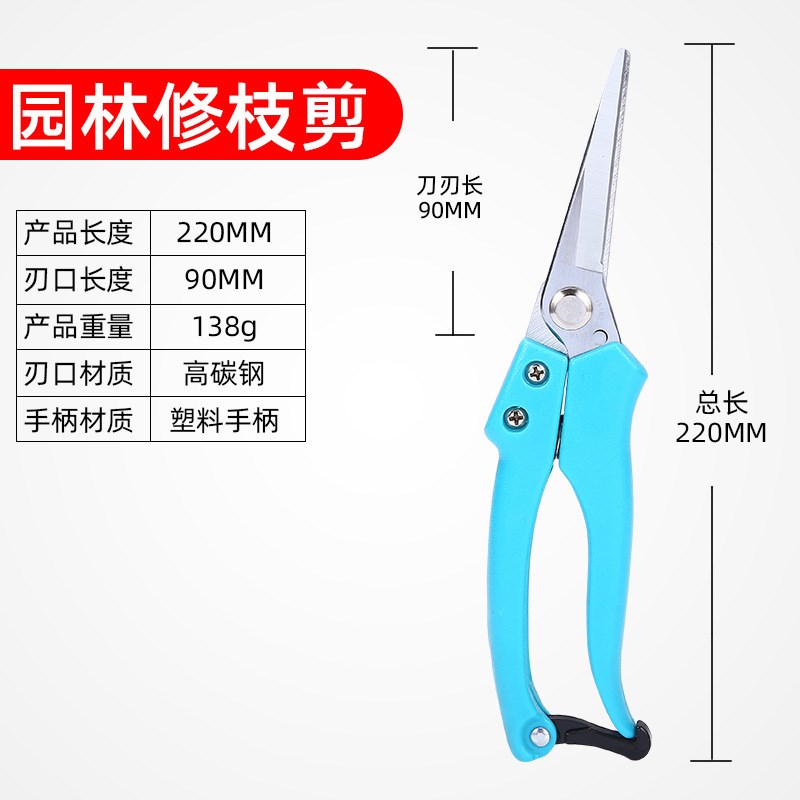 蓝柄长直园艺果剪园林剪修枝剪摘果剪整枝剪花剪果蔬剪稀果剪
