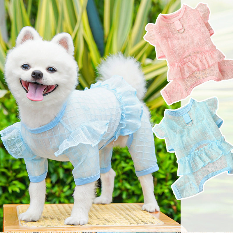 原创四脚衣宠物狗狗衣服狗衣服猫咪衣用品蕾丝网纱裙子裤子跨境比