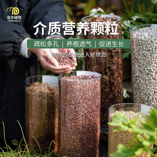 有寻植物室内绿植铺面石介质