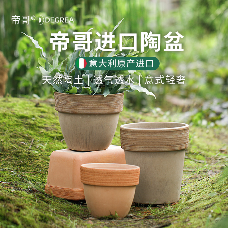 意大利Degrea进口帝哥花盆