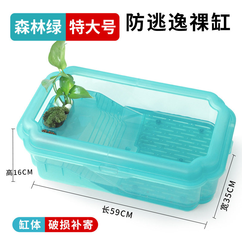 龟缸造景全套新款迷你养乌龟缸小型饲养宠物办公桌招财生态裸缸客,家居饰品,装饰盆,淘宝优惠券,粉丝福利购,淘宝优惠卷