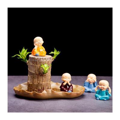 夏季驱蚊巴西木开花水养绿