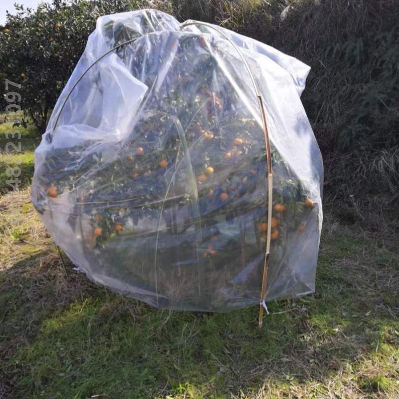 袋室外套袋保温树木防寒香蕉保暖花卉果树植物防冻薄膜,罩塑料罩