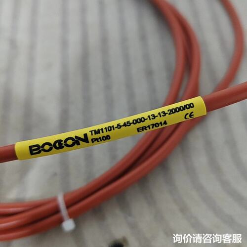 议价BODON TM1101-5-45 PT100温度传感器可维修