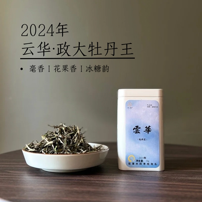 政和白茶2024年雪后白茶