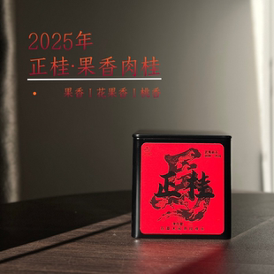 桂皮香2025新茶果香肉桂茶叶武夷岩茶肉桂泡袋乌龙茶品鉴装口粮茶