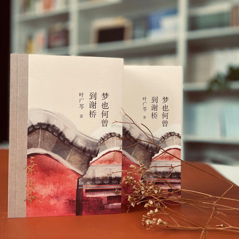 梦也何曾到谢桥 叶广芩 著 文学