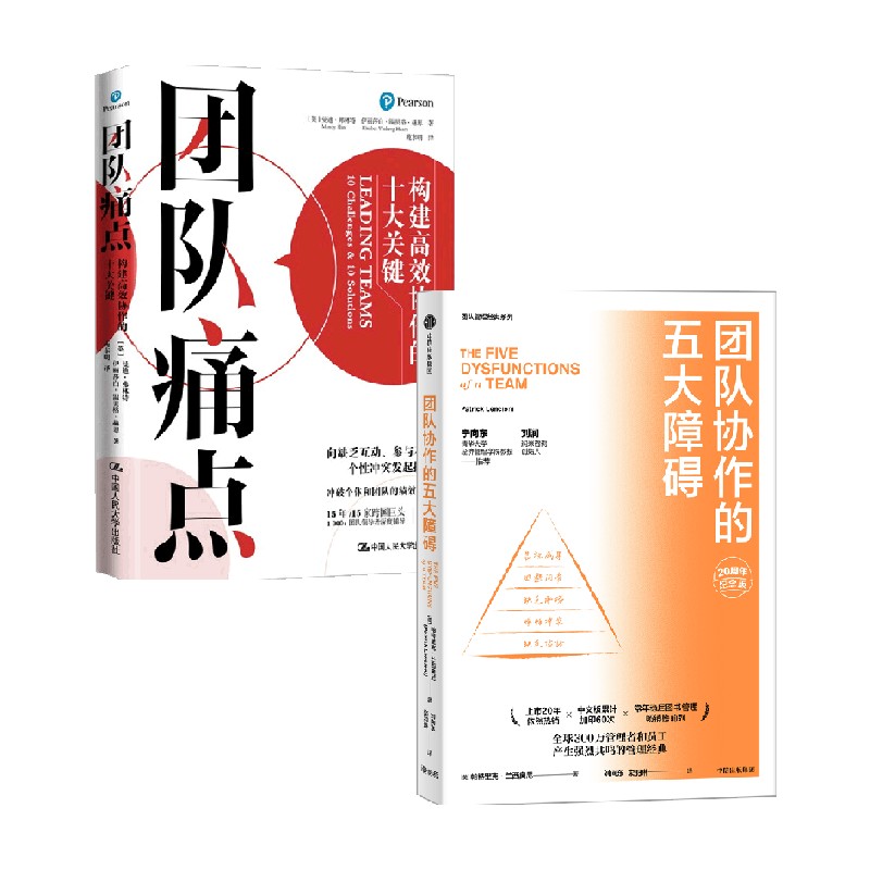 团队协作五大障碍+团队痛点 曼迪·弗林特等 著 管理