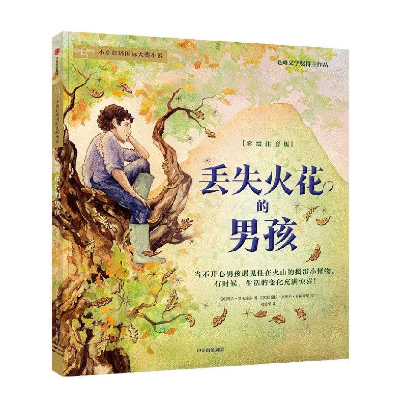 丢失火花的男孩 6-9岁 玛吉·奥法瑞尔 著 儿童文学