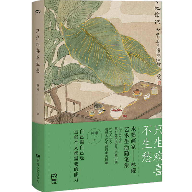 正版 只生欢喜不生愁 林曦著 艺术生活随笔 谈艺术之道 论无用之 中信