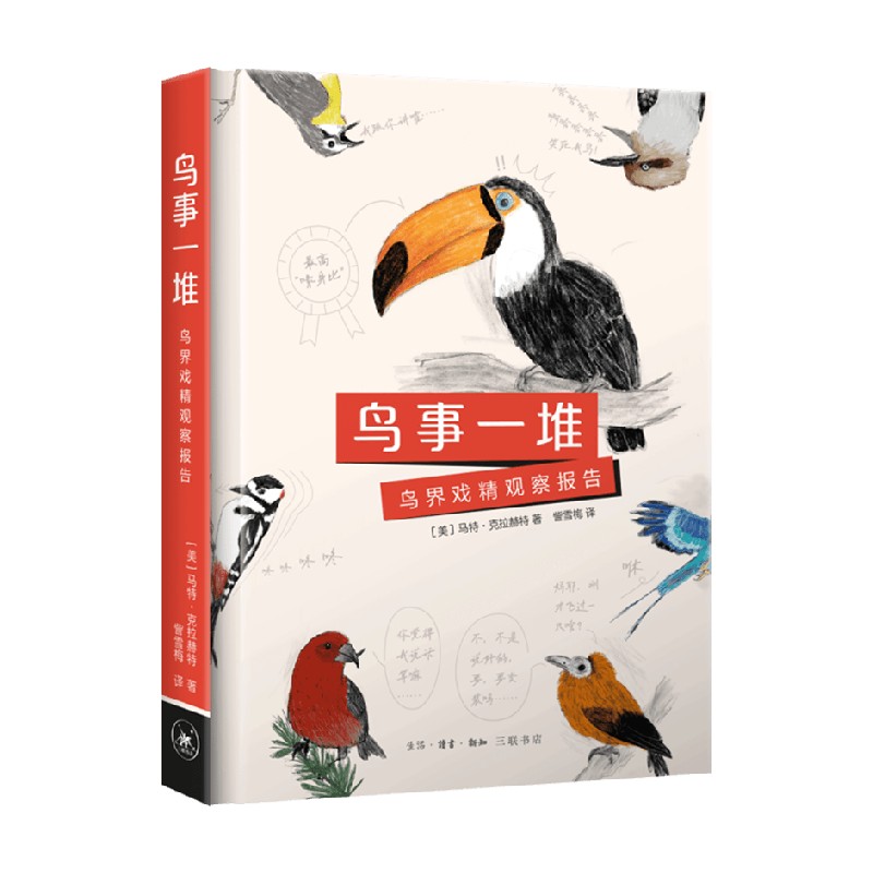 鸟事一堆鸟界戏精观察报告