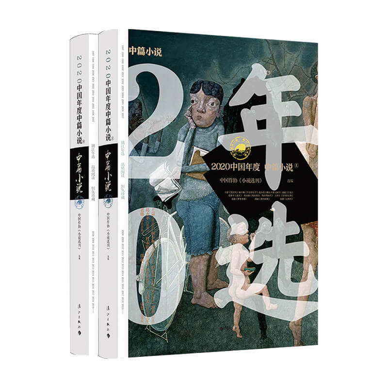 2020中国年度中篇小说 上下 中国作协小说选刊 选 编 中国现当代小说作品集书籍 中信