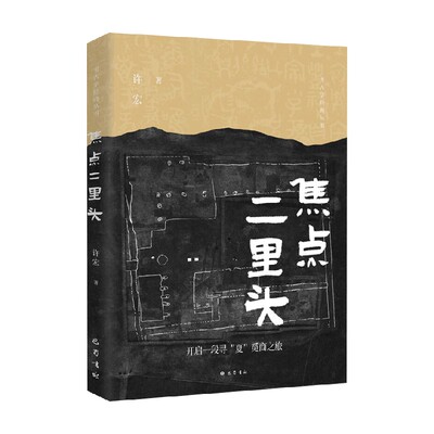 焦点二里头许宏考古学