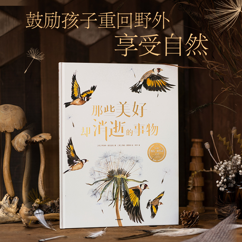 那些美好却消逝的事物 4岁 罗伯特麦克法伦著 2019年凯特格林威大奖作品 一座可以走进每个家庭的博物馆