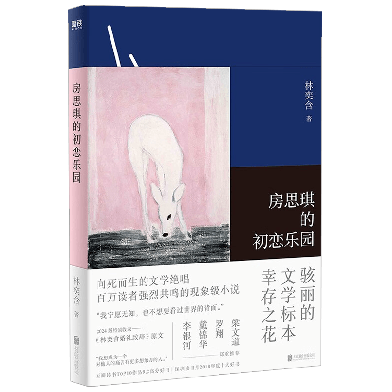 房思琪的初恋乐园林奕含小说