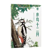 故事森林 著 小书房 魔法象 徐鲁 小鸟十二月 9岁 儿童文学